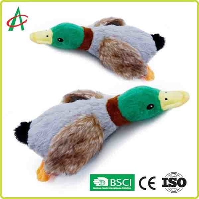 petit chiot de 28cm faisant ses dents des jouets avec un grand Squeaker