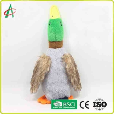 petit chiot de 28cm faisant ses dents des jouets avec un grand Squeaker
