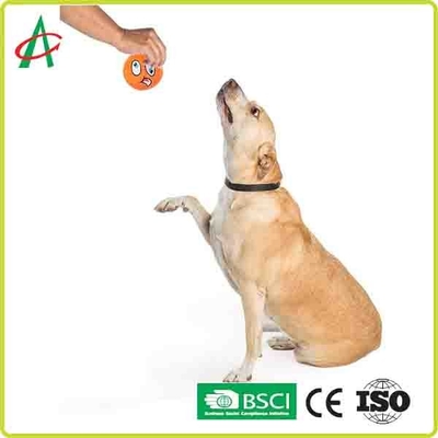 chiens de jouets interactifs de mastication de 6.5cm